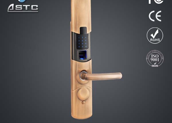 Fingerprint door lock