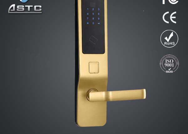 Digital front door lock