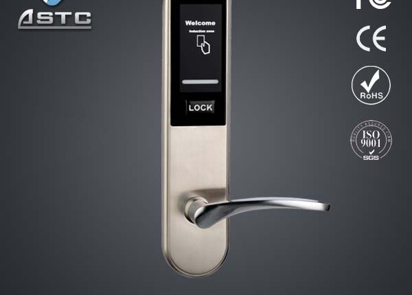 Electronic door locks